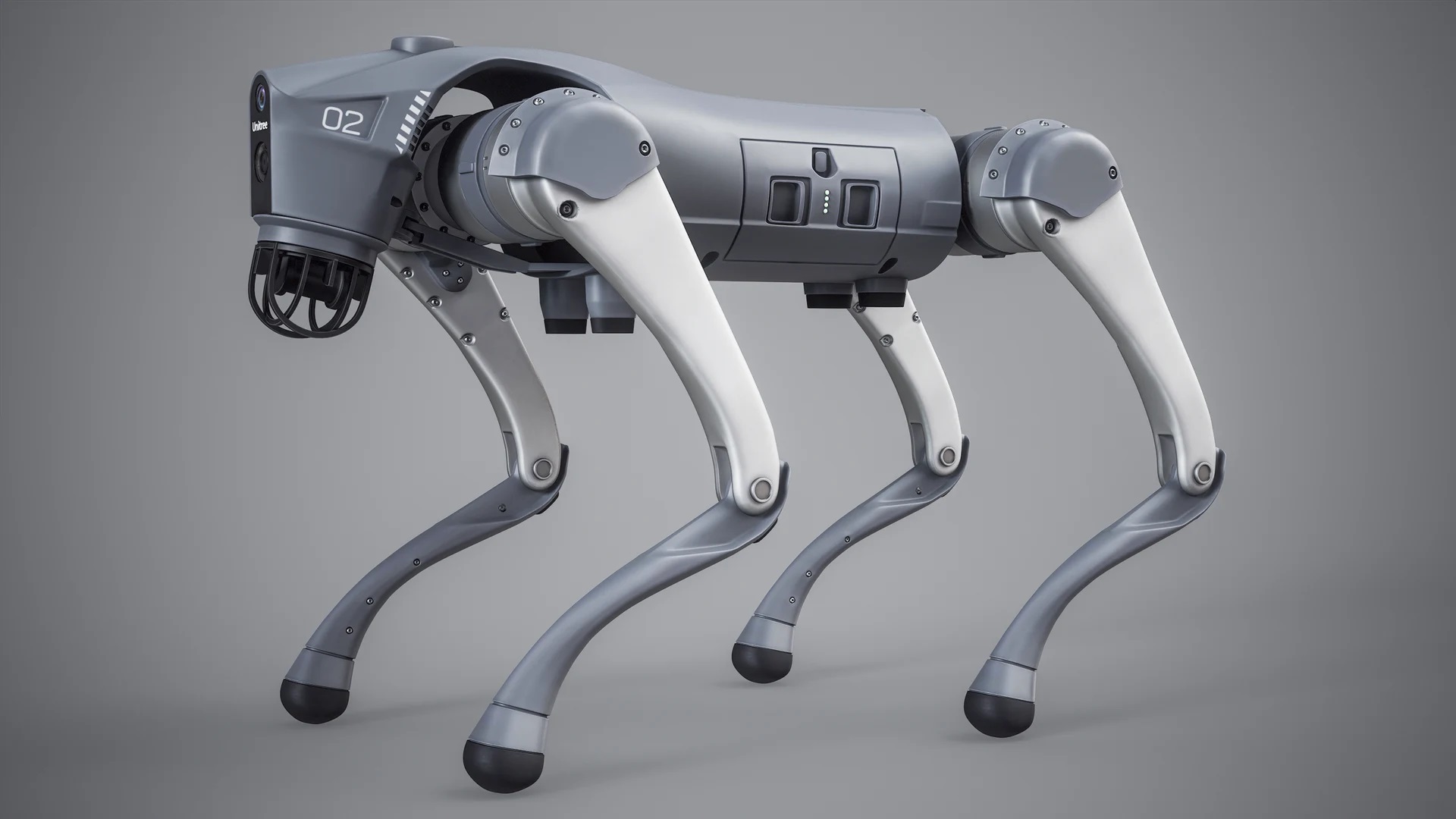 robodog