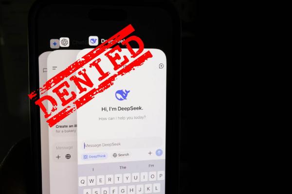 deepseek tmk denied by CNIPA