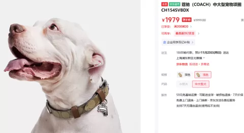 coach collar